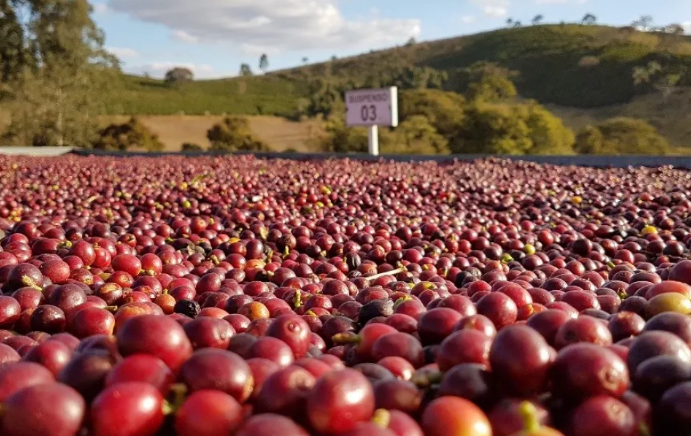 Foto da fazenda Grupo Agro Fonte Alta