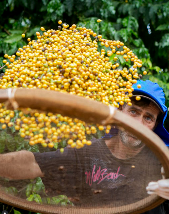 Foto da fazenda Unique Cafés Especiais