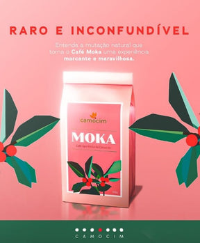 Café em grãos Camocim Orgânico Moka - 250g