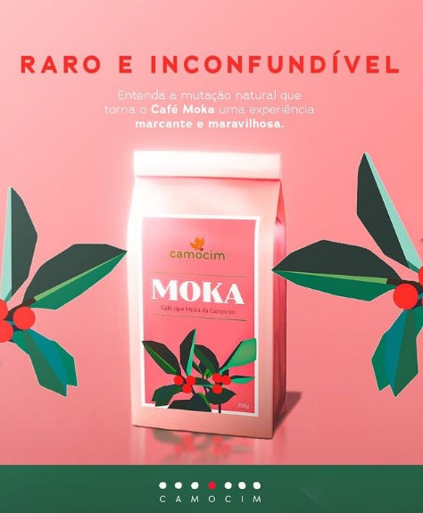 CAFÉ EM GRÃOS  CAMOCIM ORGÂNICO MOKA - 250g