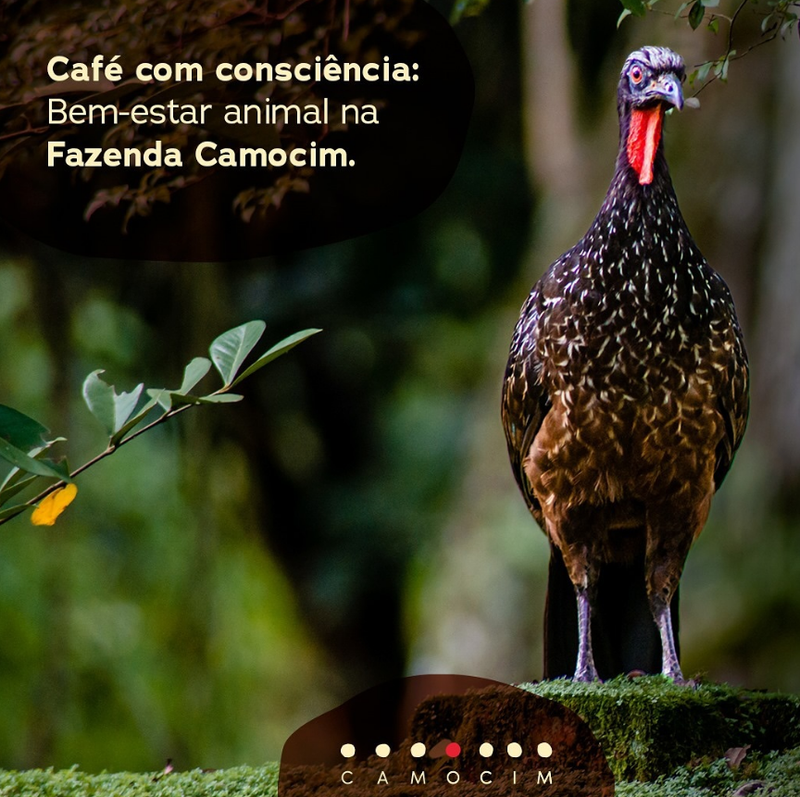 Foto da fazenda Fazenda Camocim