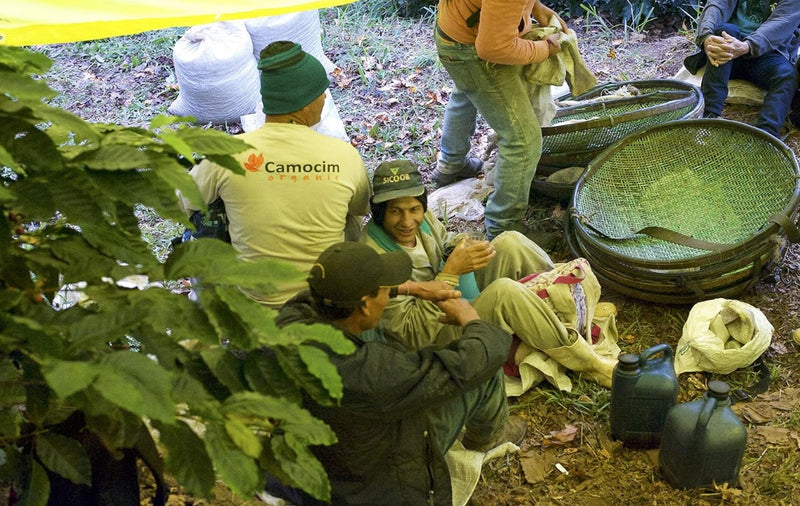 CAFÉ EM GRÃOS  CAMOCIM ORGÂNICO MOKA - 250g