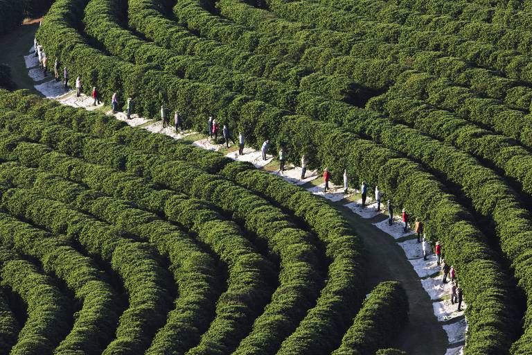 Foto da fazenda Fazenda Sertãozinho