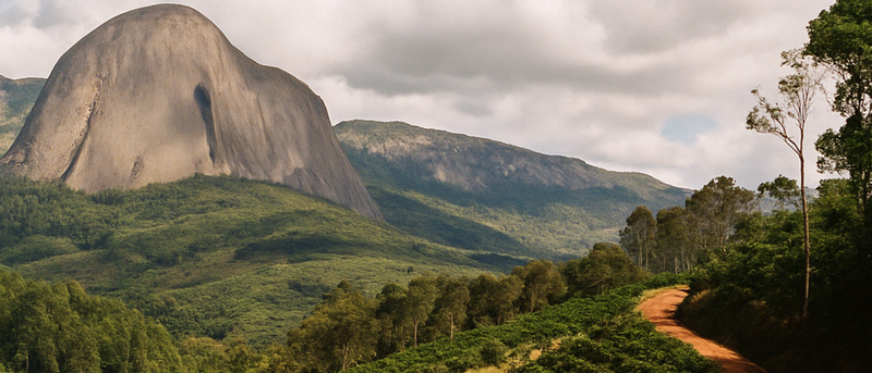 Foto da fazenda Fazenda Camocim