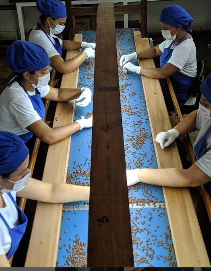 Foto da fazenda Fazenda Pessegueiro