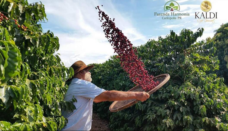 Foto da fazenda Fazenda Harmonia