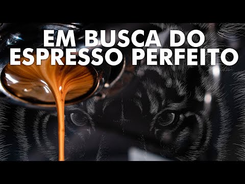 Café em grãos Unique Tiger Espresso - 1 kg