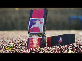 Café em grãos Santa Lucia Origem - 1 kg