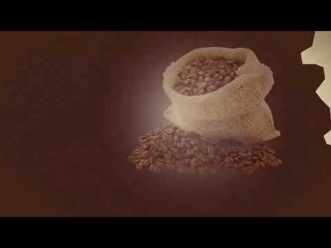 Café em grãos Kaldi Gourmet - 1 kg